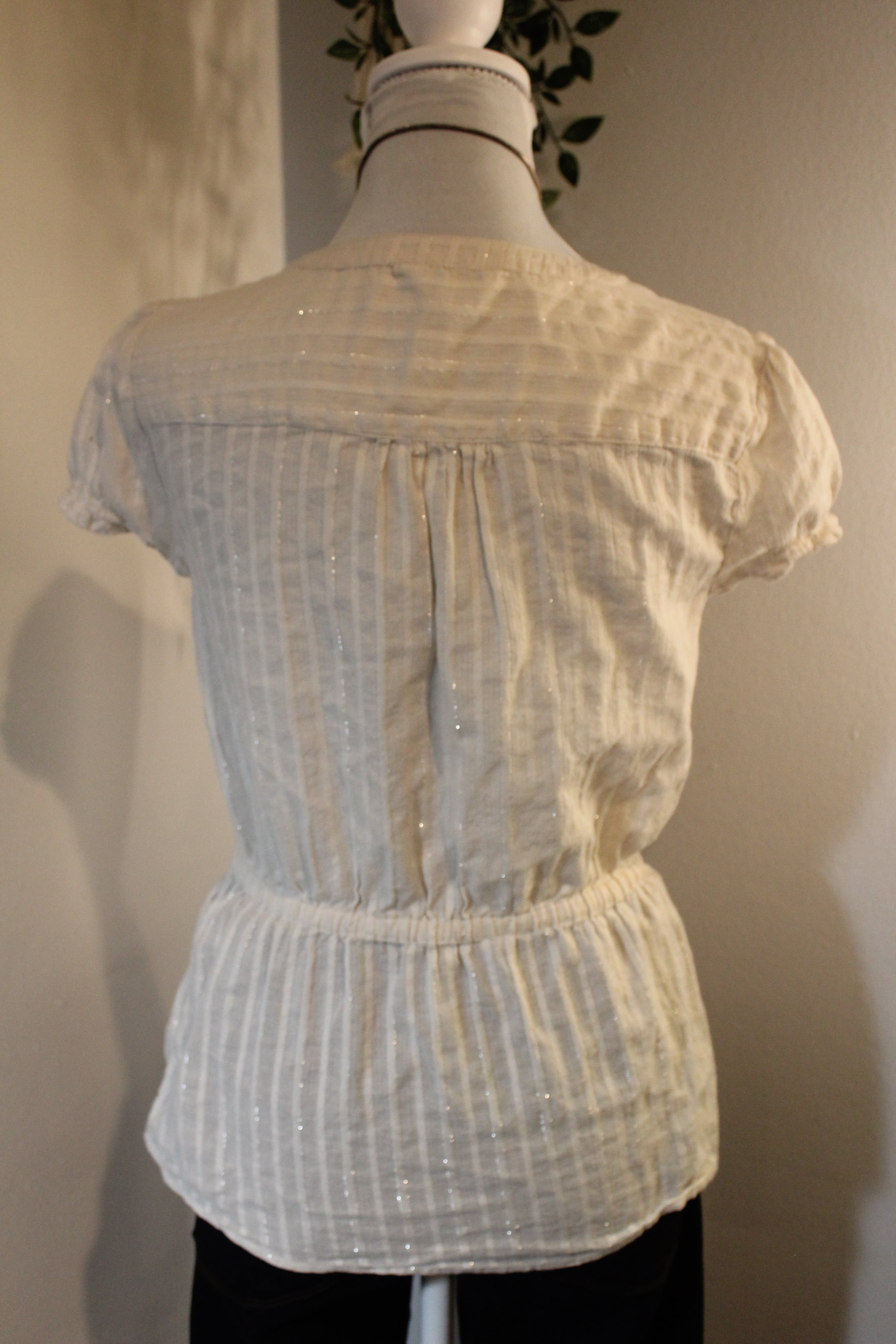 Shimmery Cream Blouse